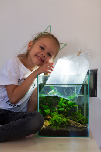 Floating bag in aquarium