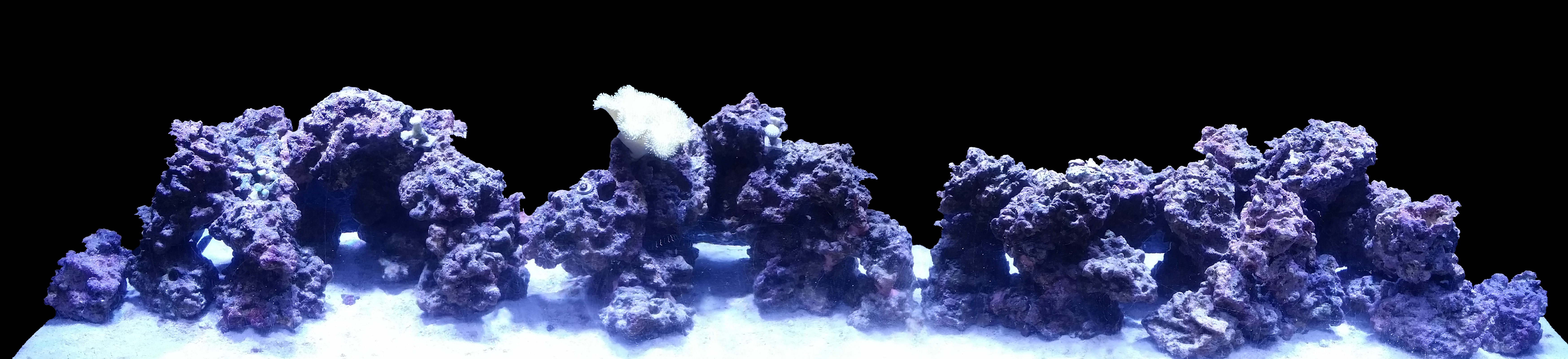 negative space aquascape