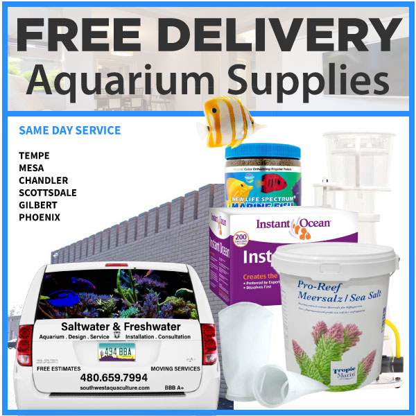 Free delivery of aquarium supplies