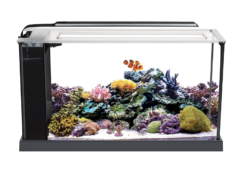 Fluval Evo Aquariums